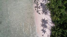 Front de mer privé bordé de palmiers, développement zoné - vues élevées et coraux supérieurs