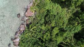 Front de mer privé bordé de palmiers, développement zoné - vues élevées et coraux supérieurs