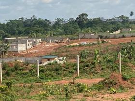 2 lots de terrain constructible à vendre au village Tsinga