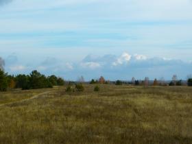 Deux parcelles de terrain adjacentes à vocation d'investissement près du lac Andreïevskoïe (61 ha)