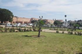 Terrain à vendre 2,6 ha en plein centre ville Meknès