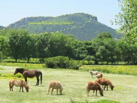 A vendre manoir situé sur les hauteurs de Fréjus en Provence-Côte d'Azur