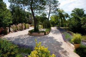 Belle demeure Provençale sur 2 hectares 300 - 7 chambres - Piscine 15 m x 7 m