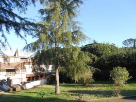 Rome - Villa de 600 m2 sur 3 étages avec 4 appartements, piscine 60 m2 et parc de 2000 m2 