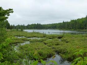 Domaine de 5 lots boisés au Québec aménagés pour l’élevage et la chasse au chevreuil