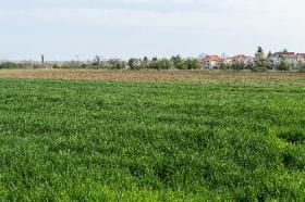 Terrain à vendre à Petrovaradin - Novi Sad, Serbie