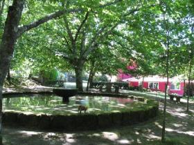 La propriété Quinta Da Regedoura 10 ha - à vendre