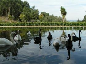 La propriété Quinta Da Regedoura 10 ha - à vendre
