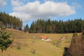 Ferme avec forêt et prairie dans un endroit fantastique de la Forêt-Noire