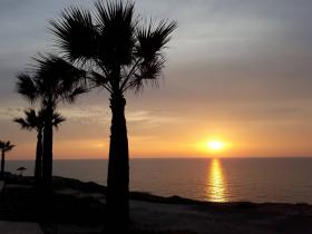 Vente appartement d'une chambre près de la mer à Paphos