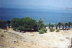 Terrain magnifique en bord de mer