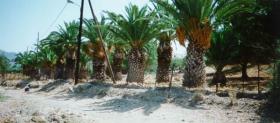 Terrain magnifique en bord de mer
