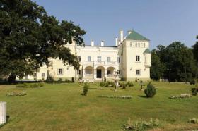 Château à couper le souffle à vendre en Hongrie, à Acsaújlak