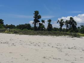 Terrain en front de mer à Sumba Est