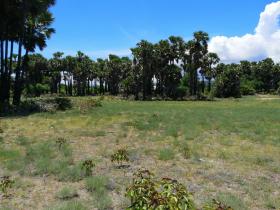 Terrain en front de mer à Sumba Est