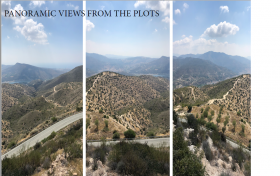 2 Terrains à vendre dans la région de Mathikoloni-Limassol