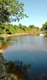 500 hectares à proximité immédiate de la capitale Asuncion, Paraguay