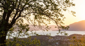 Terrain à vendre avec une vue splendide sur la baie de Kotor