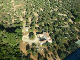 Ferme andalouse typique avec 14 hectares de prairies de chênes-lièges
