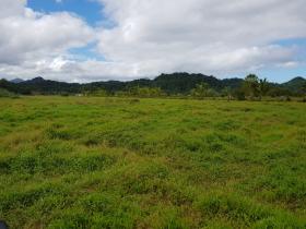 10 acre de terrain agricole à vendre - possible de construire hôtel, resort