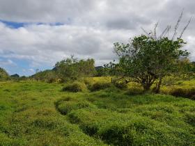 10 acre de terrain agricole à vendre - possible de construire hôtel, resort