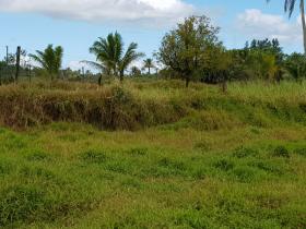 10 acre de terrain agricole à vendre - possible de construire hôtel, resort