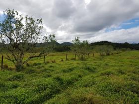 10 acre de terrain agricole à vendre - possible de construire hôtel, resort
