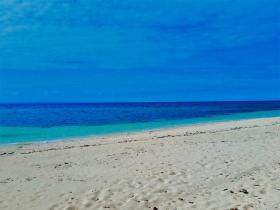 Terrain en bord de mer à vendre aux îles Camotes