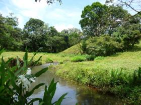 Vente terrain constructible de 84 ha avec projet immobilier