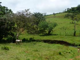 Vente terrain constructible de 84 ha avec projet immobilier