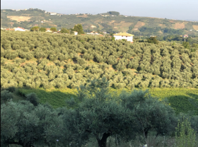 Maison de campagne à vendre à Loreto Aprutino Abruzzes, Italie