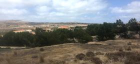 A vendre terrain 890 m2 à Ile de Porto Santo