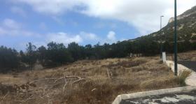 A vendre terrain 890 m2 à Ile de Porto Santo
